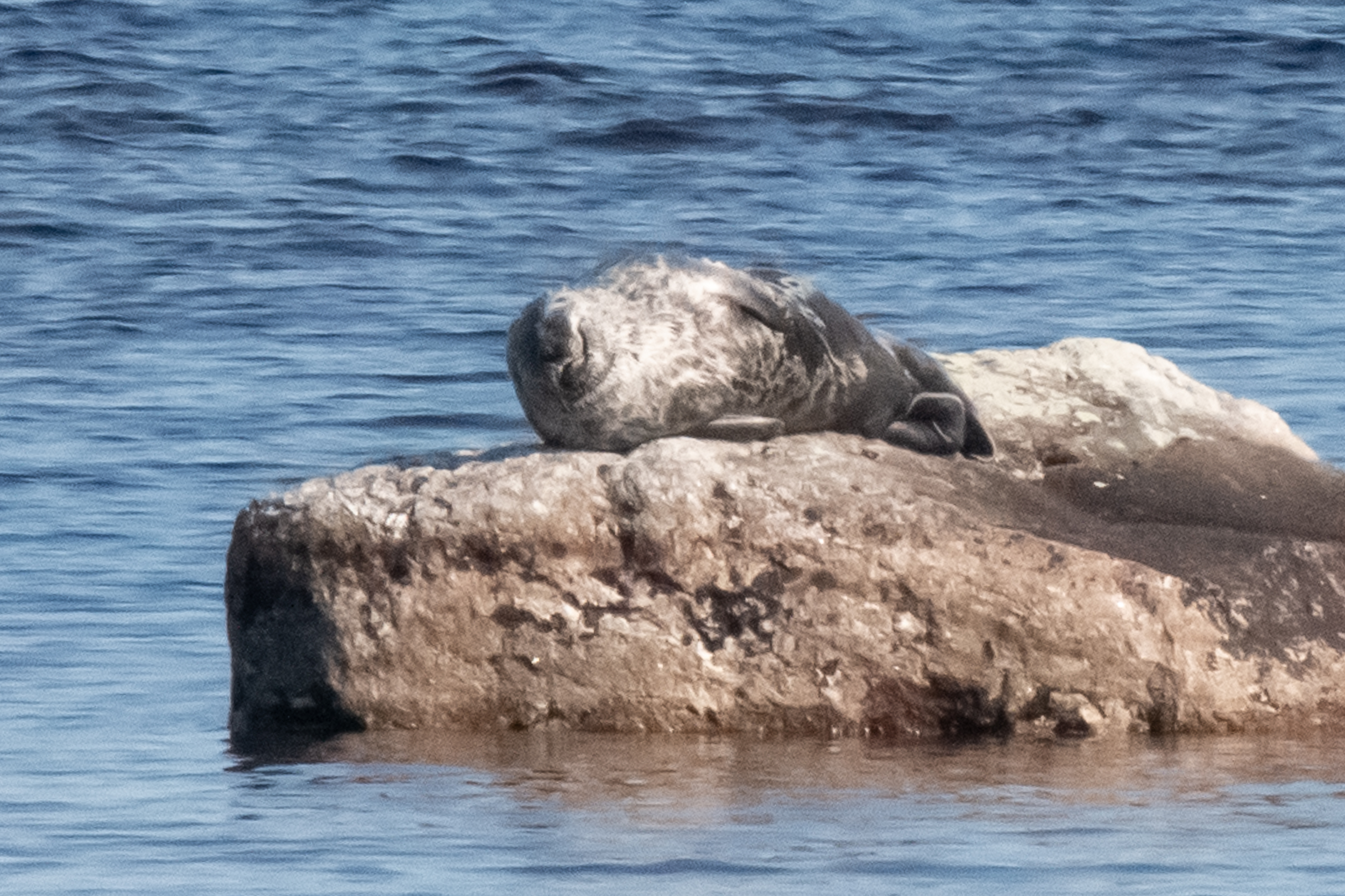 Norpparisteily Sarviniemi-Sarviniemi 17.05.2026 16:00-19:30